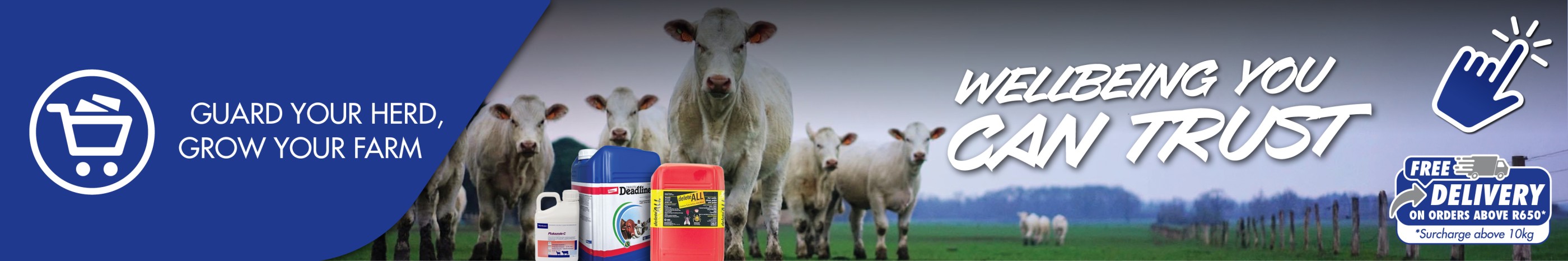 Primary marketing carousel