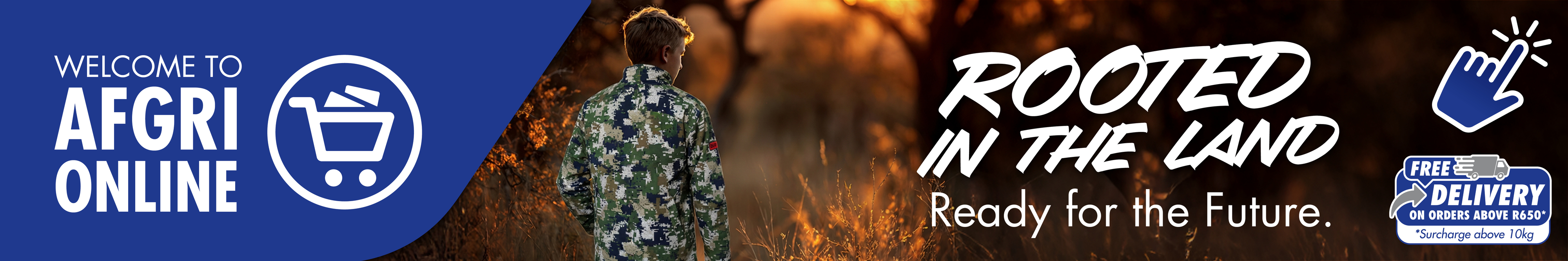 Primary marketing carousel