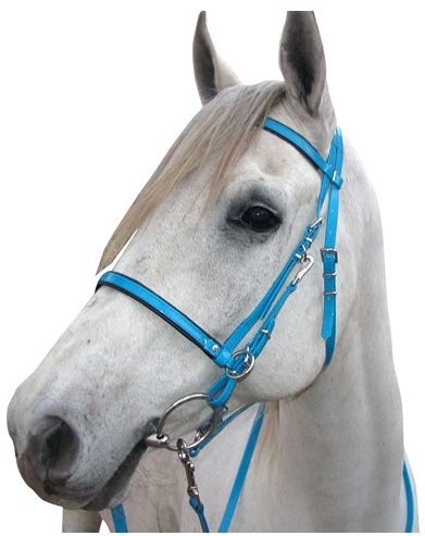Halter bridle with clip on cheek pieces and reins/lead. Bit and reins quickly clip off to leave the horse with a halter. Padded browband and noseband. Ideal for endurance and trail riding. Made using genuine American Biothane. Biothane is strong, soft and supple and will not crack. It is also low maintenance, will not absorb sweat or water and is easy to clean. Colours - Black, white, brown, red, orange, pink, turquoise, royal, lime, purple, yellow. Pony, cob, full size available.
