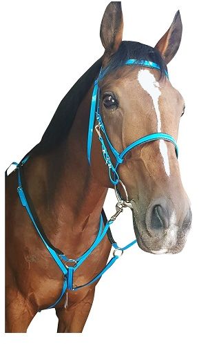 Matching endurance bridle (BRI023P) and breastplate (BRE015B) set. Ideal for endurance and trail riding. Made using genuine American Biothane. Biothane is strong, soft and supple and will not crack. It is also low maintenance, will not absorb sweat or water and is easy to clean. Colours - Black, white, brown, red, orange, pink, turquoise, royal, lime, purple, yellow. Pony, cob, full size available.