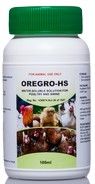 Oregro-HS is a water-soluble balanced solution containing Oreganum essential oil extracted from the plant Oreganum vulgare, Vitamin C, Vitamin E and electrolytes specially designed for heat stress in all ages of poultry. Feed additive for poultry and swine For use in times of heat stress: To help birds cope with heat stress. To promote health growth and performance during times of heat stress. Enhance growth, production and performance during heat stress.