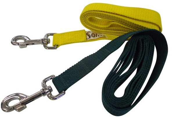 Spare cotton webbing lead for your halter. Sold with a clip or with a loop end. 2m long, 25mm wide. Assorted colours.