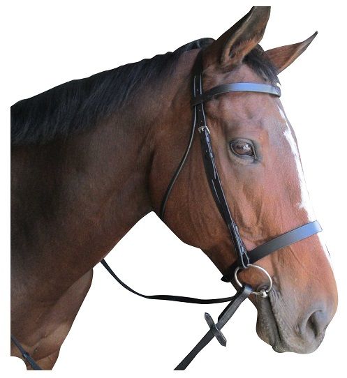 Ideal for showing and every day riding. Soft English leather bridle with a flat leather browband and noseband. Stainless steel fittings. Web cleated reins included. 1/2" - 12mm cheek pieces. Black or brown leather. Pony, cob, full size available.