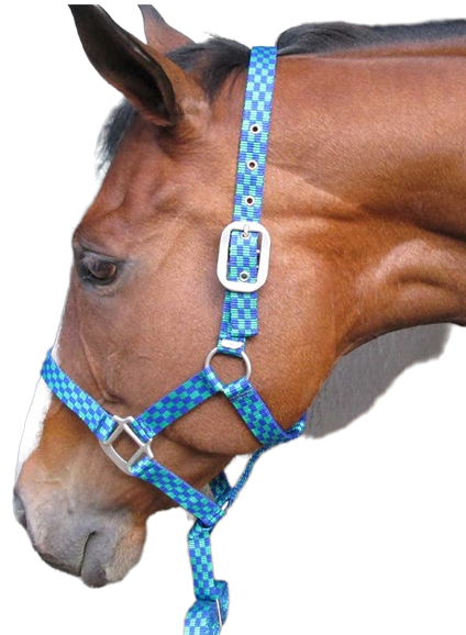 Easy fit with buckling neck strap. Nicely fitting noseband that does not sag. Quality trigger hook on 2M lead. Small/Pony, Medium/Cob, Large/Horse, XL/Warmblood.