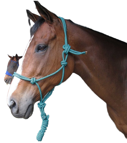 Knotted rope halter with a lead. No buckles to rub or get caught on anything. Adjusts by moving the knots. Quick to put on or take off. Great for every day use and when washing your horse.