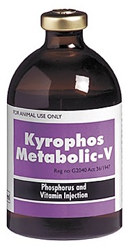 Kyrophos Metabolic-V is an injectable vitamin/mineral supplement. It is a source of phosphorus and B Vitamins for both large and small animals.