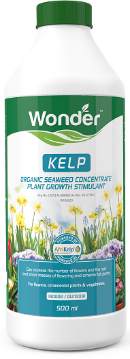 An organic seaweed concentrate and plant growth stimulant which can increase the number of flowers and the root and shoot masses of flowering and ornamental plants.
