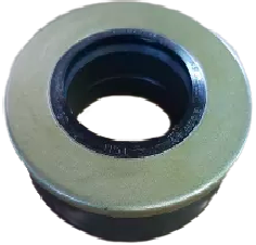 TCM 6186507 input shaft oil seal.