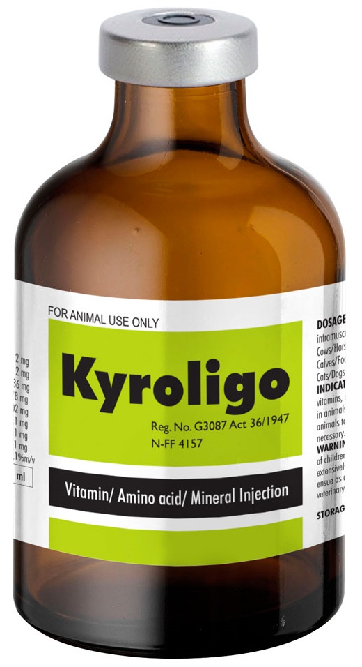 Kyroligo Injection contains oil- and water-soluble vitamins, inositol, choline, methionine (an amino acid), and minerals manganese, zinc, copper, cobalt and magnesium.