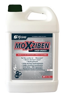 READY-TO-USE DEWORMING DRENCH FOR SHEEP. For the control of: Wireworm (Haemonchus contortus); Brown stomach worm (Teladorsagia circumcincta); Bankrupt worm (Trichostrongylus colubriformis); Long-necked bankrupt worm (Nematodirus spathiger); Large-mouthed bowel worm (Chabertia ovina); Liver fluke (F. hepatica en F. gigantica); Milk tapeworm (Moniezia expansa); Controls nasal bot (Oestrus ovis) larvae infestation. Persistency: Wireworm and Brown stomach worm 28 days.
