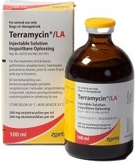 Terramycin® LA Injectable solution is a patented formulation containing 200 mg oxytetracycline per ml. The formulation, because of its unique carrier, provides sustained oxytetracycline in blood levels for 3  5 days in cattle, sheep, goats and pigs after a single 1ml / 10kg injection.