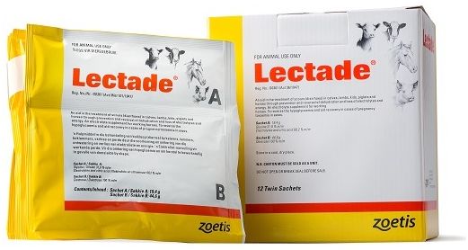 An aid in the treatment of diarrhoea in calves, lambs, kids, piglets and horses, and for the treatment of pregnancy toxaemia (domsiekte) in ewes. Sachet A: 19,4 g. Glycine 31,8% m/m. Electrolytes and citric acid 68,2% m/m. Sachet B: 44,6 g. Dextrose 100% m/m