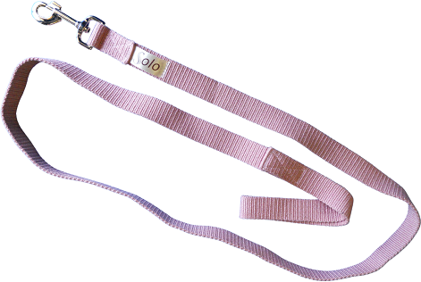 Spare nylon lead for your halter. Sold with a clip or with a loop end 2m long and 25mm wide. Assorted colours.