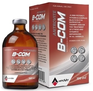 Antrovite B-Com is a high potency vitamin B complex injection.