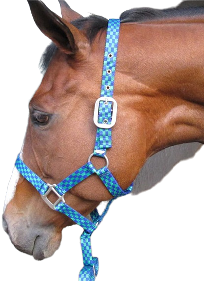 Easy fit with buckling neck strap. Nicely fitting noseband that does not sag. Quality trigger hook on 2m lead. Small/Pony, Medium/Cob, Large/Horse, XL/Warmblood.