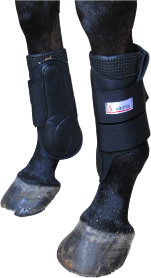 Available in front and hind. Lightweight soft comfort lining that does not chafe, rub or absorb water. Easy to clean, just rinse under a tap. Quick drying. Shavings / grass will not stick to the inside of the boot. Strong protective shell gives optimum protection. Recommended for horses that brush badly.