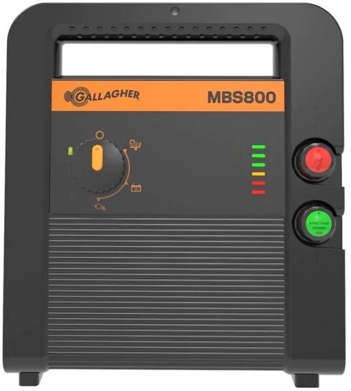 49319a.jpg