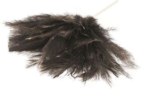 Feather Duster, 450mm genuine Ostrich feathers - medium head.