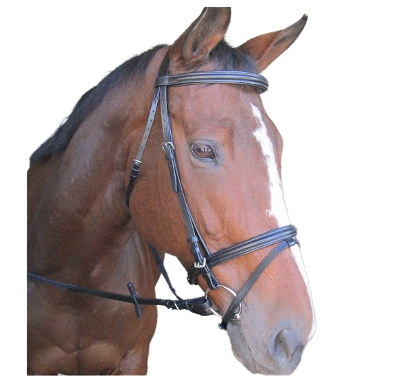 Soft leather bridle with raised & padded browband and noseband. Stainless steel fittings. Web cleated reins. 1/2" - 12mm cheek pieces. Flash or caveson noseband with a padded buckle. Pony, cob, full, XL size available.