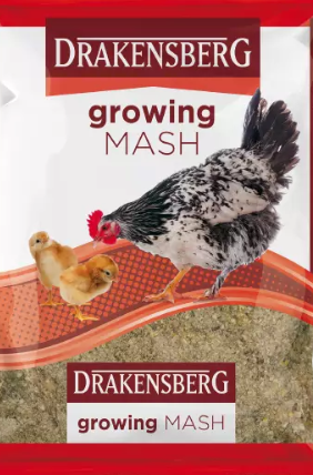 Essentially growing mash has a high protein content, but has less calcium than regular layer feed. It is, in many ways, like chicken feed for teenage chickens. Growing mash addresses the dietary requirements of a chicken between 6 & 20 weeks old.