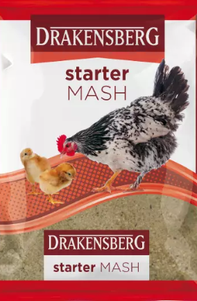 Starter mash is a protein-dense variety of chicken feed designed to meet the dietary requirements of baby chicks. Baby chicks can live comfortably on a diet of starter feed and water for the first 6 weeks of their life before progressing onto grower feed.