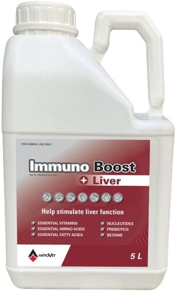 Helps stimulate liver function. Immuno Boost + Liver is an easy to use, scientifically formulated, water soluble liquid formulation designed for optimal performance. Immuno Boost + Liver is safe for application in all forms of livestock such as poultry, turkeys, ducks, rabbits, ostriches, cattle, calves, sheep, goats, camels, and non-competing horses, as well as smaller animals.