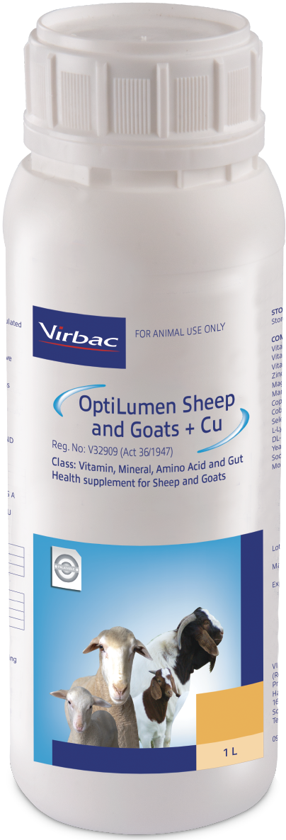 A highly concentrated liquid drench containing bio-available Vitamins, Amino Acids, Essential Trace Minerals and Gut Health Enhancers formulated for Sheep and Goats. OptiLumen Sheep and Goats can be a valuable aid in promoting immunity, fertility and growt