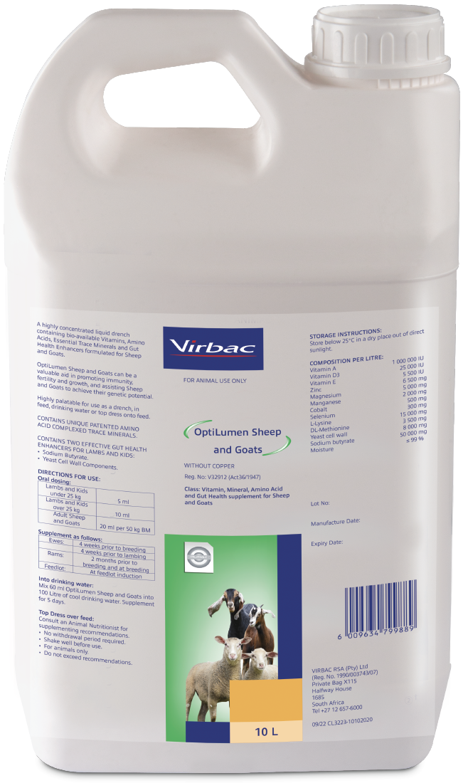 A highly concentrated liquid drench containing bio-available Vitamins, Amino Acids, Essential Trace Minerals and Gut Health Enhancers formulated for sheep and goats. OptiLumen Sheep and Goats can be a valuable aid in promoting immunity, fertility and growt