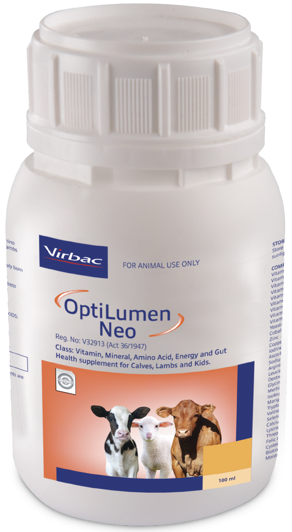 A highly concentrated liquid drench containing Energy, bio-available Vitamins, Amino Acids, Essential Trace Minerals and Gut Health. Enhancers formulated for calves, lambs and kids. OptiLumen Neo can be a valuable aid in promoting immunity and growth in ne