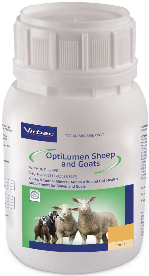 A highly concentrated liquid drench containing bio-available Vitamins, Amino Acids, Essential Trace Minerals and Gut Health Enhancers formulated for sheep and goats. OptiLumen Sheep and Goats can be a valuable aid in promoting immunity, fertility and growt