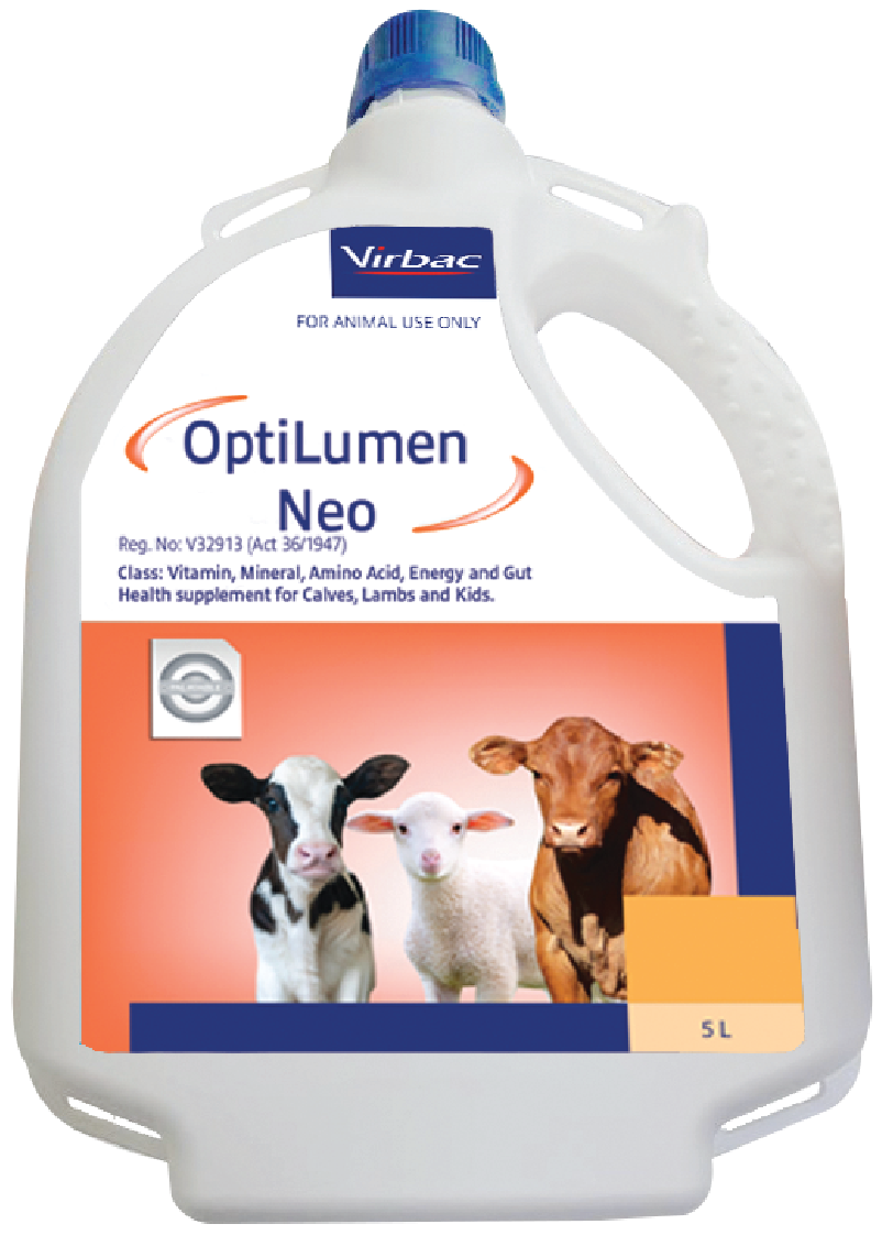 A highly concentrated liquid drench containing Energy, bio-available Vitamins, Amino Acids, Essential Trace Minerals and Gut Health. Enhancers formulated for calves, lambs and kids. OptiLumen Neo can be a valuable aid in promoting immunity and growth in ne