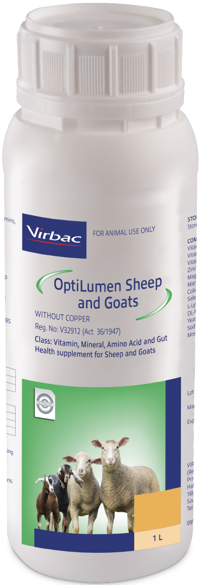 A highly concentrated liquid drench containing bio-available Vitamins, Amino Acids, Essential Trace Minerals and Gut Health Enhancers formulated for sheep and goats. OptiLumen Sheep and Goats can be a valuable aid in promoting immunity, fertility and growt