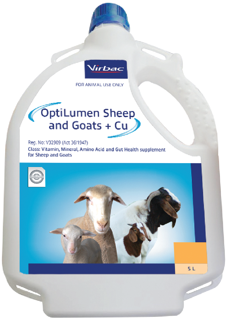 A highly concentrated liquid drench containing bio-available Vitamins, Amino Acids, Essential Trace Minerals and Gut Health Enhancers formulated for Sheep and Goats. OptiLumen Sheep and Goats can be a valuable aid in promoting immunity, fertility and growt