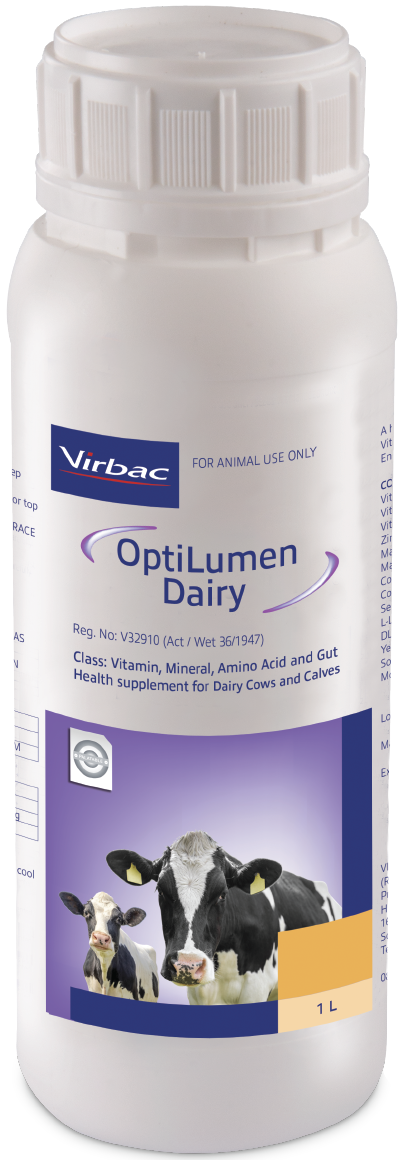 A highly concentrated liquid drench containing bio-available Vitamins, Amino Acids, Essential Trace Minerals and Gut Health Enhancers formulated for Dairy Cows and Calves.OptiLumen Dairy can be a valuable aid in promoting fertility, immunity, milk producti