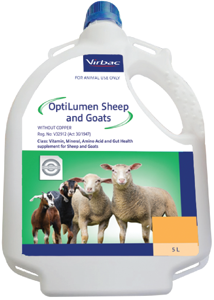 A highly concentrated liquid drench containing bio-available Vitamins, Amino Acids, Essential Trace Minerals and Gut Health Enhancers formulated for sheep and goats. OptiLumen Sheep and Goats can be a valuable aid in promoting immunity, fertility and growt