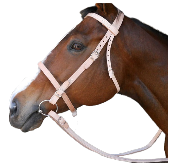 Heavy duty working bridle made from strong, durable harness leather.When oiled leather is soft and durable and will last for years3/4" - 19mm leather reins.Black, brown or natural leather.Snaffle bit included.