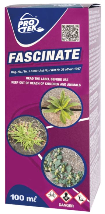 FASCINATE is a non-selective, partly systemic contact herbicide formulated as a water-soluble concentrate, for the control of certain broadleaf weeds, grasses and sedges in crops as indicated as well as industrial sites and unplanted areas as well as a defoliant(haulm destruction) in potatoes.