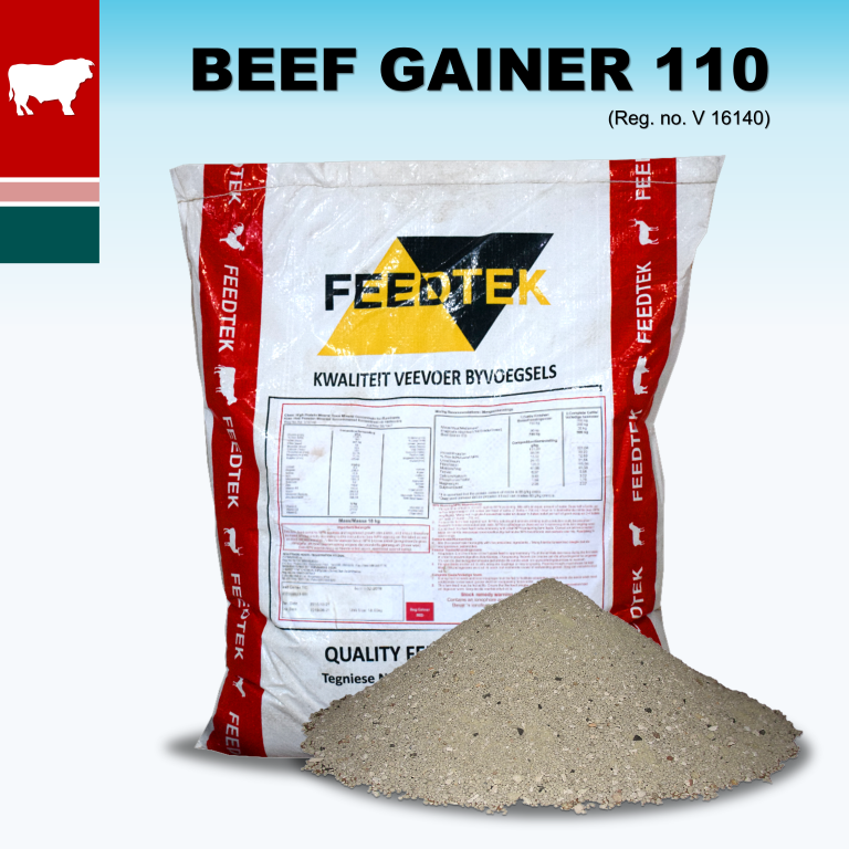 A protein mineral trace mineral vitamin concentrate for home mixing of cattle feeds. Highly concentrated to make use of own or local ingredients. Contains a palatant that facilitates and improves intake. Contains buffers and ionophores which prevent digestive disturbances and improves feed conversion .Zilpaterol Hydrochloride is added to Beef gainer 110 for the producers convenience.