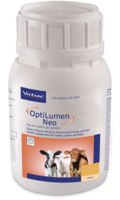 A highly concentrated liquid drench containing Energy, bio-available Vitamins, Amino Acids, Essential Trace Minerals and Gut Health Enhancers formulated for calves, lambs and kids. OptiLumen Neo can be a valuable aid in promoting immunity and growth in new