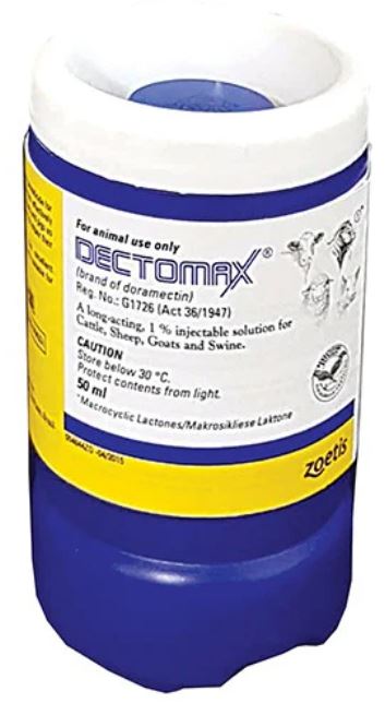 Dectomax® is an injectable solution used to treat and control internal and external parasites of cattle, sheep, goats and pigs. Cattle: Dectomax® treats and controls gastro-intestinal roundworms, suckling lice, mange mites, Parafilaria (false bruising