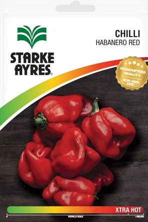 Starke Ayres Chilli Habanero Red produces strong, vigorous plants that yield highly pungent fruit, ripening from green to red. The seeds typically germinate within 15 to 18 days, and the plants reach maturity in approximately 75 to 80 days. For best result