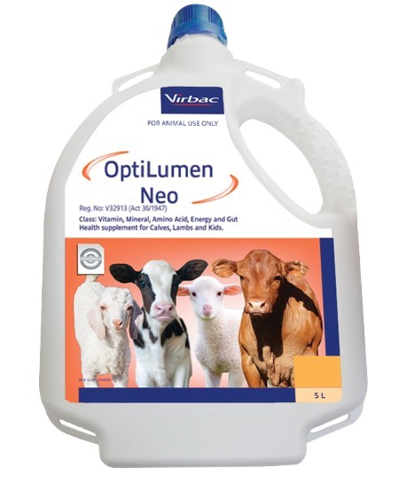 A highly concentrated liquid drench containing Energy, bio-available Vitamins, Amino Acids, Essential Trace Minerals and Gut Health. Enhancers formulated for calves, lambs and kids. OptiLumen Neo can be a valuable aid in promoting immunity and growth in ne