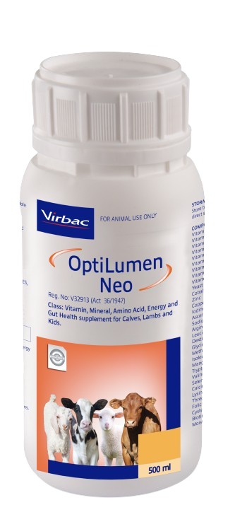 A highly concentrated liquid drench containing Energy, bio-available Vitamins, Amino Acids, Essential Trace Minerals and Gut Health Enhancers formulated for calves, lambs and kids. OptiLumen Neo can be a valuable aid in promoting immunity and growth in new